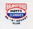 BrantMotts.jpg