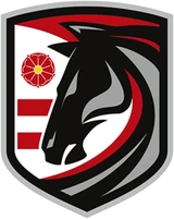 HC 21 Prešov logo