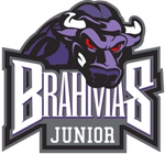 Texas Brahmas Youth Hockey Association