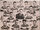 1935-36 Allan Cup Final