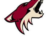 Arizona Coyotes
