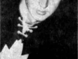 Jack Douglas