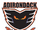 Adirondack Phantoms