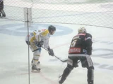 Aki Berg