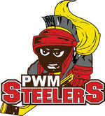 logo as Steelers