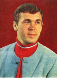 Vladimir Vikulov Ice Hockey Wiki Fandom