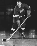 Sanford with Red Wings