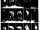 1936-37 WCIAU Season