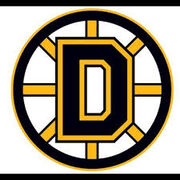 Delisle Bruins Spokes