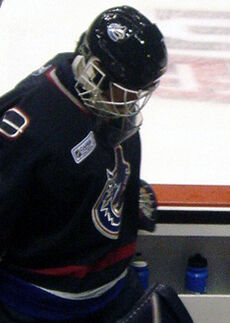 Dan Cloutier Ice Hockey Wiki Fandom