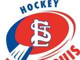 Lac St-Louis Junior AA Hockey League