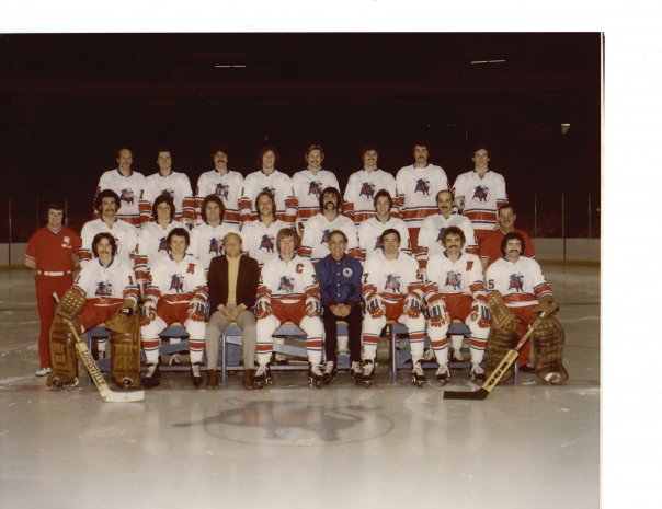 1977-78 WHA Season, Ice Hockey Wiki