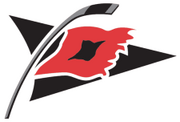 Carolina Hurricanes alternate logo