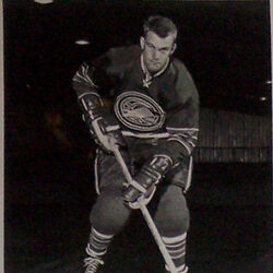 Category California Golden Seals players Ice Hockey Wiki Fandom