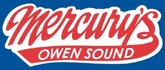 2010–11 Third Jersey logo.