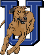 UOIT 2006 dog U