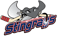 Stingrays former primary, used 2000–2008.