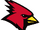 Plattsburgh Cardinals women's ice hockey