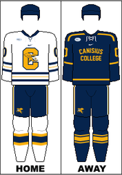 Griffs to Wear Buffalo Braves Themed Uniforms - Canisius University  Athletics