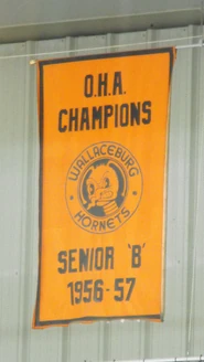 Wallaceburg Hornets banner