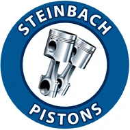 Team logo 2013-2020