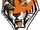 Buffalo State Bengals women's ice hockey