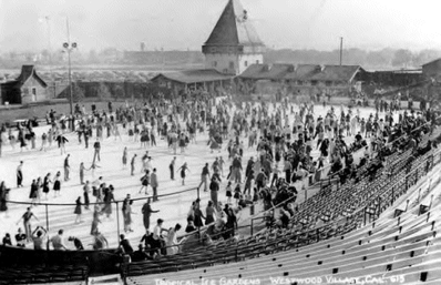 Tropical Ice Gardens