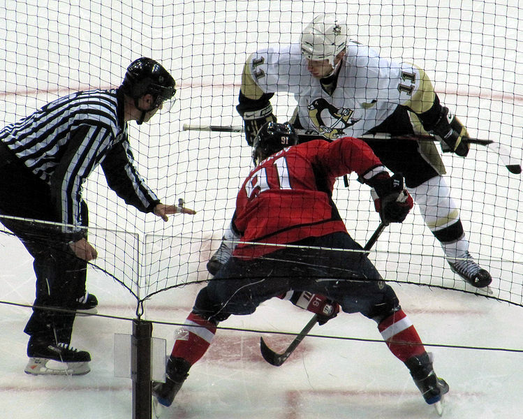 National Hockey League Rivalries Ice Hockey Wiki Fandom