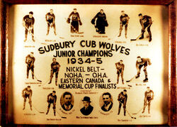 Sudbury Cub Wolves