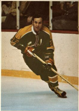  Joey Johnston California Golden Seals Hockey Any