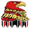 LancashireHawks