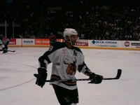 Marco Rosa 2011