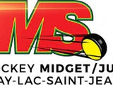 Saguenay-Lac-St-Jean Junior AA Hockey League