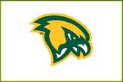 Fitchburg State Falcons logo