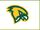 Fitchburg State Falcons men's ice hockey