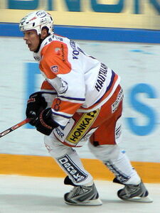 Goal (ice hockey) - Wikipedia