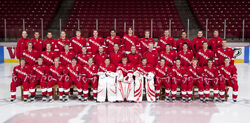 09-10Wisconsin.jpg (1.05 MB) Wisconsin Badgers (WCHA)