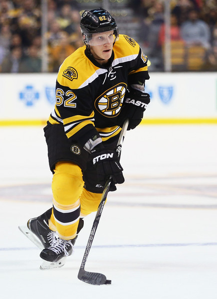 Zach Trotman - Boston Bruins - 2016 NHL Winter Classic - Game