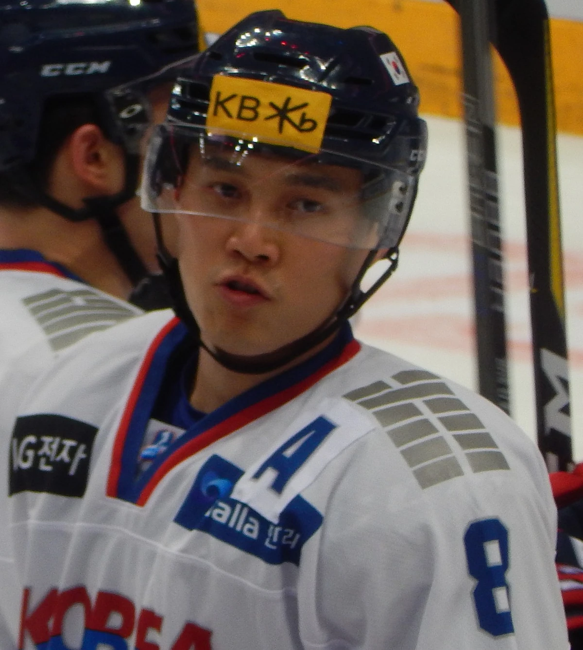 Kim Wonjung Ice Hockey Wiki Fandom