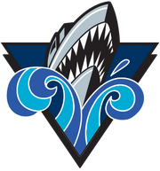 earlier version of logo