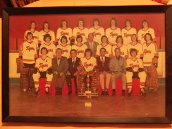 Medicine Hat Tigers