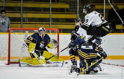 2016-17 Bisons v Lethbridge