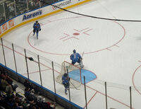 Hedberg in goal