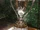 MacNaughton Cup