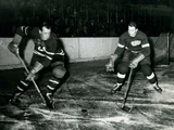 1946–47 Detroit Red Wings season