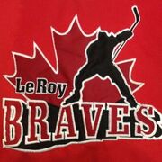 Leroy Braves.jpeg