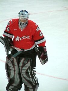 David Aebischer