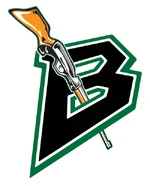 alternate logo
