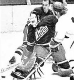 1973–74 Winnipeg Jets season, Ice Hockey Wiki