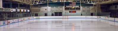 Babson Skating Center